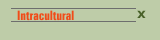Intracultural