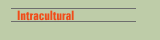 Intracultural